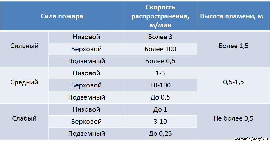 Характеристика различных типов лесных пожаров
